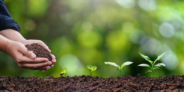 The Sustainability Benefits of Corrugated Cardboard Packaging