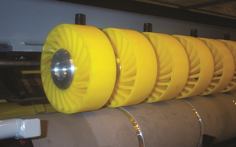 EXIT ROLL CONTROLweb